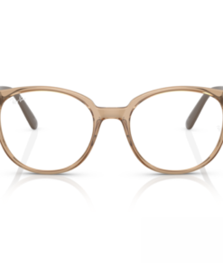 Ray-Ban RB7206L Optics