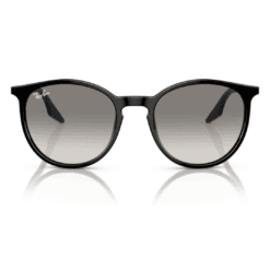 Ray-Ban RB2204