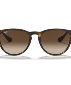 Ray-Ban Erika RB4171L