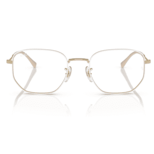 Ray-Ban RB6496L Optics