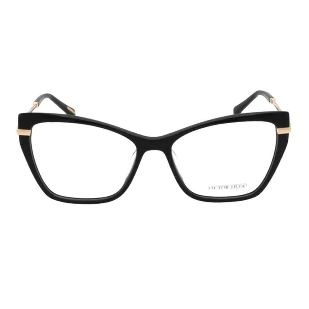 29326a Victor Hugo VH1893