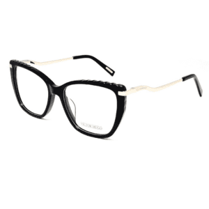 Alternative view of Victor Hugo VH1877