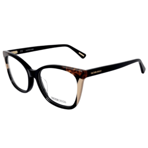 Alternative view of Victor Hugo VH1944