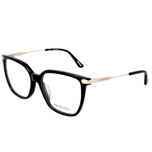 Alternative view of Victor Hugo VH1911