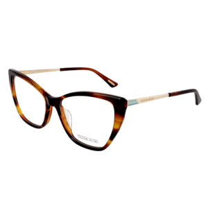 Alternative view of Victor Hugo VH1912