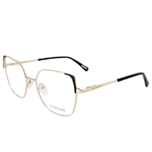 Alternative view of Victor Hugo VH1355