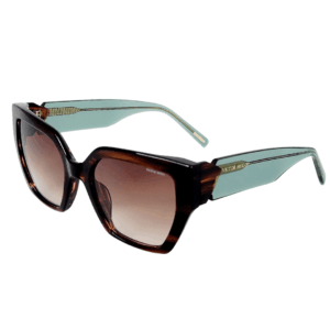 Alternative view of Victor Hugo SH1948