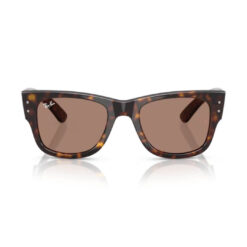 Ray-Ban RB0840S