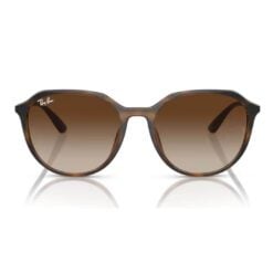 Ray-Ban RB4415L