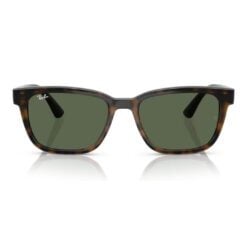 Ray-Ban RB4448L